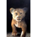 12x18 inch hyper-realistic oil painting of a lion cub on a black background by The Indobrit Arts, showing detailed fur and expressive eyes.