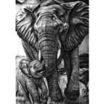 Realistic 16x22 inch charcoal drawing of a mother elephant and calf titled Bond Beyond Words by The Indobrit Arts.