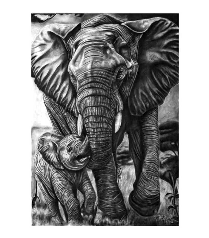 Realistic 16x22 inch charcoal drawing of a mother elephant and calf titled Bond Beyond Words by The Indobrit Arts.