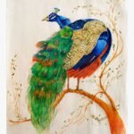 A detailed hand-painted peacock with vibrant blue and green plumage on silk fabric, created by artist Forena Shah.