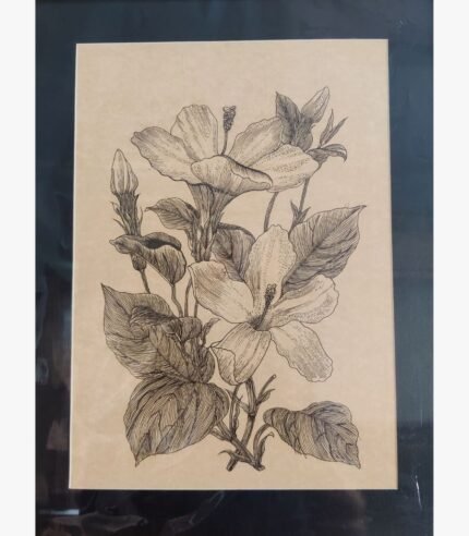 An original pen-and-ink botanical drawing titled 'Hibiscus Elegance' by Shruti Trivedi, featuring detailed linework of hibiscus flowers on textured paper.