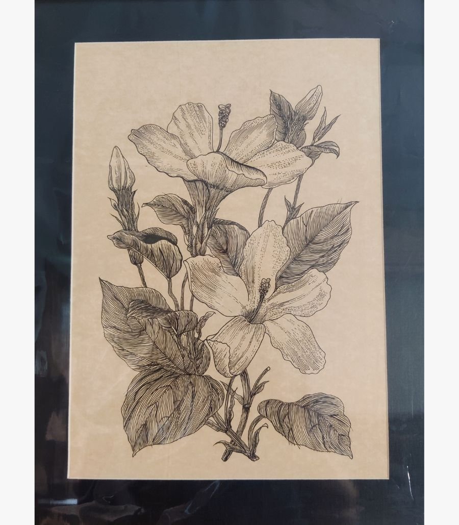 Hibiscus Elegance by Shruti Trivedi An original pen-and-ink botanical drawing titled 'Hibiscus Elegance' by Shruti Trivedi, featuring detailed linework of hibiscus flowers on textured paper.