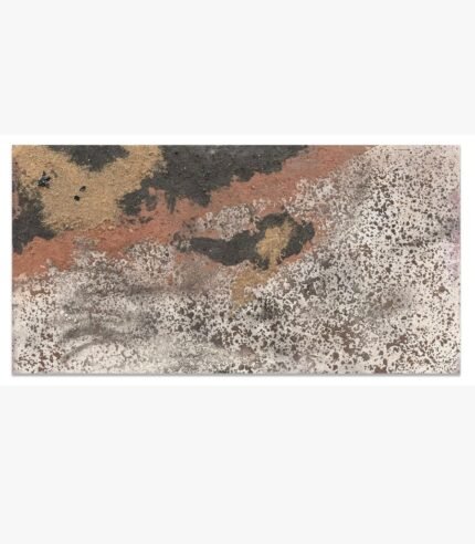 An abstract mixed media artwork titled 'Rubicund-1' by Bhavdip Jidiya, featuring textured, earthy tones of rust, gold, and charcoal.