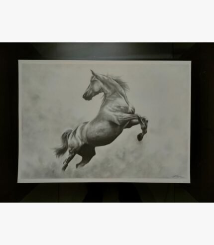 An original pencil sketch titled 'The Silent Observer' by Sunny Devani, featuring a detailed monochromatic portrait of a man wearing a scarf.