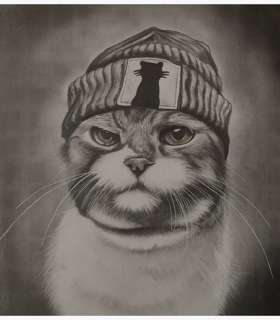 The Urban Feline by Sunny Devani An original pencil sketch titled 'The Urban Feline' by Sunny Devani, depicting a cat wearing a knit beanie with a cat silhouette patch.