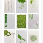 A modern 9-piece minimalist art grid displaying natural landscapes, green moss textures, lotus buds, and abstract foliage in gouache on paper, by Mihir Dabhi.