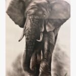 Original wildlife charcoal drawing titled Gentle Giant by Sachi Patel depicting a highly detailed majestic African elephant charging forward with ears spread wide and powerful trunk details.