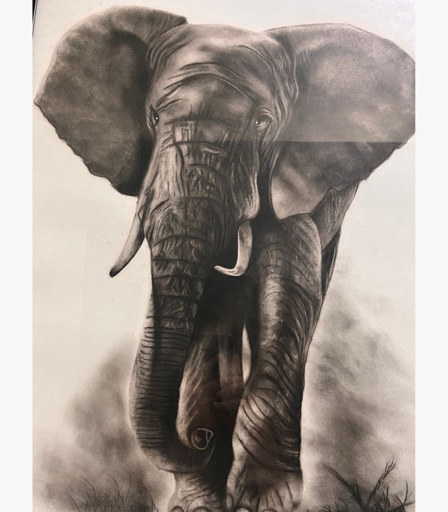 2 Original wildlife charcoal drawing titled Gentle Giant by Sachi Patel depicting a highly detailed majestic African elephant charging forward with ears spread wide and powerful trunk details.