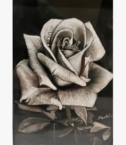 Original charcoal on paper botanical drawing titled Velvet Whispers by Sachi Patel showing a highly detailed, close-up realistic rose with morning dew drops against a dark background.