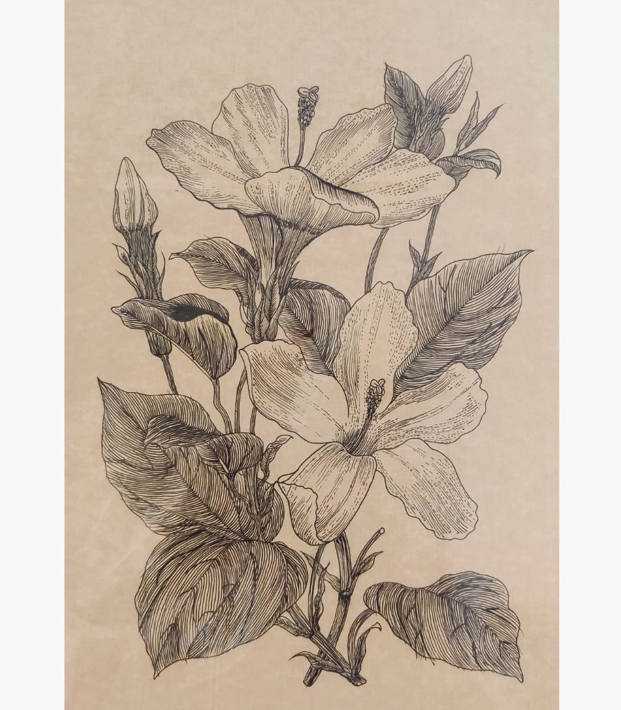 1 Original black ink sketch titled Hibiscus Botanical Elegance by Shruti trivedi depicting detailed line art of blooming hibiscus flowers and buds on vintage tan paper.
