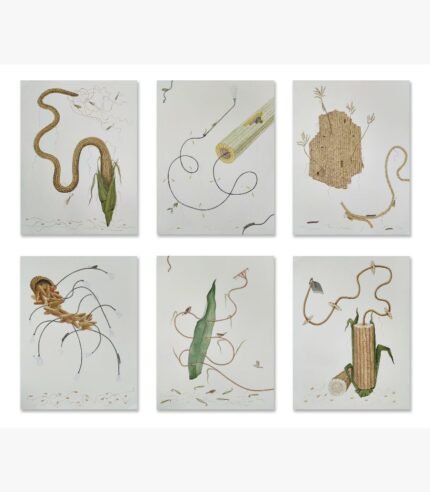 Original multi-panel contemporary watercolor and gouache artwork titled Agrarian Metamorphosis by Hardev Chauhan showcasing six surreal, detailed botanical panels focused on corn structures, roots, leaves, and organic agricultural threads.