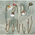 Original contemporary surrealist watercolor painting titled Cycles of Cotton by Hardev Chauhan showcasing various stages of cotton growth with stems threaded through slits in a textured greyish-green background.