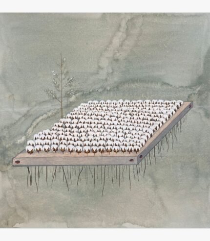 Original contemporary surrealist watercolor painting titled The Suspended Harvest by Hardev Chauhan depicting a floating wooden platform covered in a neat grid of white cotton bolls with root-like threads hanging below, set against a misty grey-green wash backdrop.