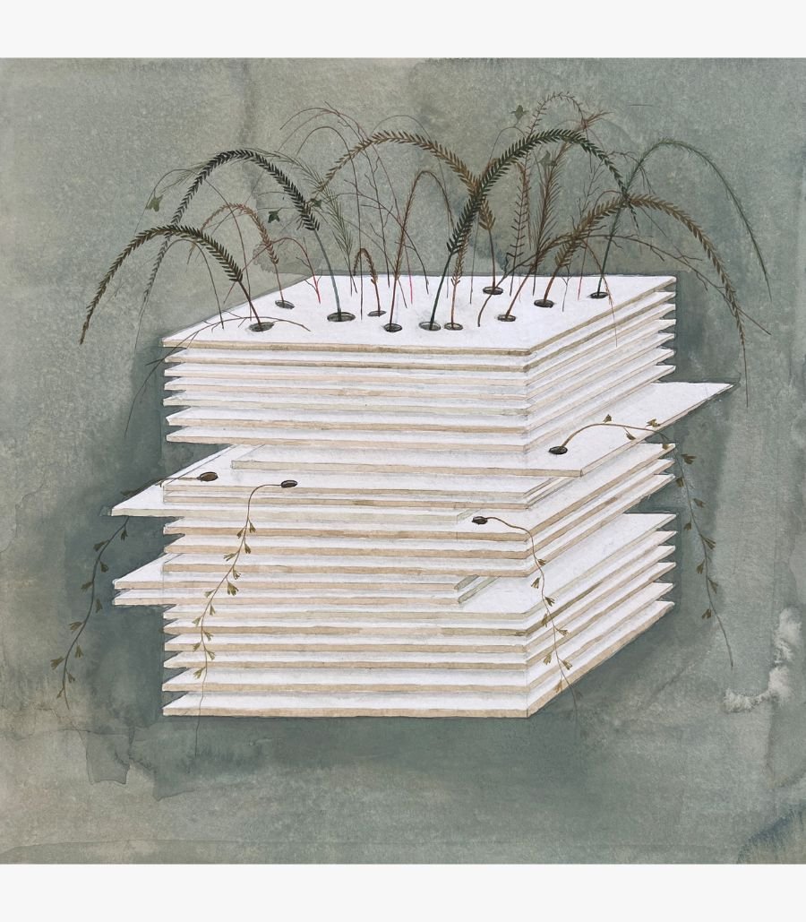 19 Original contemporary surrealist watercolor painting titled The Layered Growth by Hardev Chauhan featuring wild grass stalks and delicate vines growing out of a stacked pile of white boards against a textured greyish-green wash background.