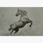 Original charcoal sketch titled Unbridled Spirit by Sunny Devani depicting a powerful stallion rearing up mid-air with detailed muscle anatomy and a flowing mane against a textured grey background.