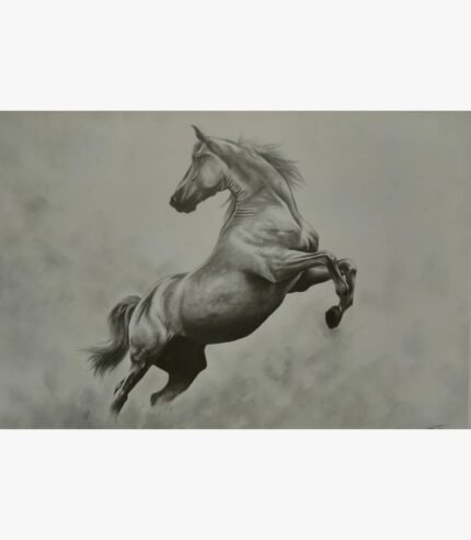 Original charcoal sketch titled Unbridled Spirit by Sunny Devani depicting a powerful stallion rearing up mid-air with detailed muscle anatomy and a flowing mane against a textured grey background.