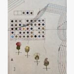 A vertical surrealist mixed media painting featuring a detailed grid of colorful specimen buttons with Roman numerals, layered multi-colored drafting lines, and four botanical flower buds mapped with grain markings on an off-white paper background, by Hardev Chauhan.
