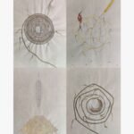 A square surrealist mixed media painting by Hardev Chauhan featuring a four-panel grid illustrating wheat stalks, grain spirals, a red bird perched on a gold thread cluster, and a harvested pile of golden seeds on a textured beige background.