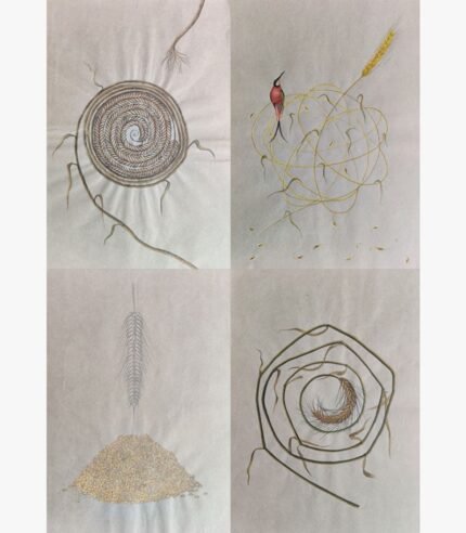 A square surrealist mixed media painting by Hardev Chauhan featuring a four-panel grid illustrating wheat stalks, grain spirals, a red bird perched on a gold thread cluster, and a harvested pile of golden seeds on a textured beige background.