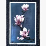 An original 3D impasto textured acrylic canvas painting featuring pink magnolia blossoms on a branch by artist Jyoti Machigad.