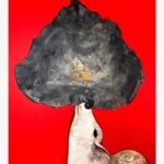 Contemporary Indian acrylic painting titled Emotional Attachment by Jiban Biswas depicting a white divine cow with line art etchings looking upward at a dark textured cloud enveloping Lord Shiva riding Nandi against a vibrant red background.